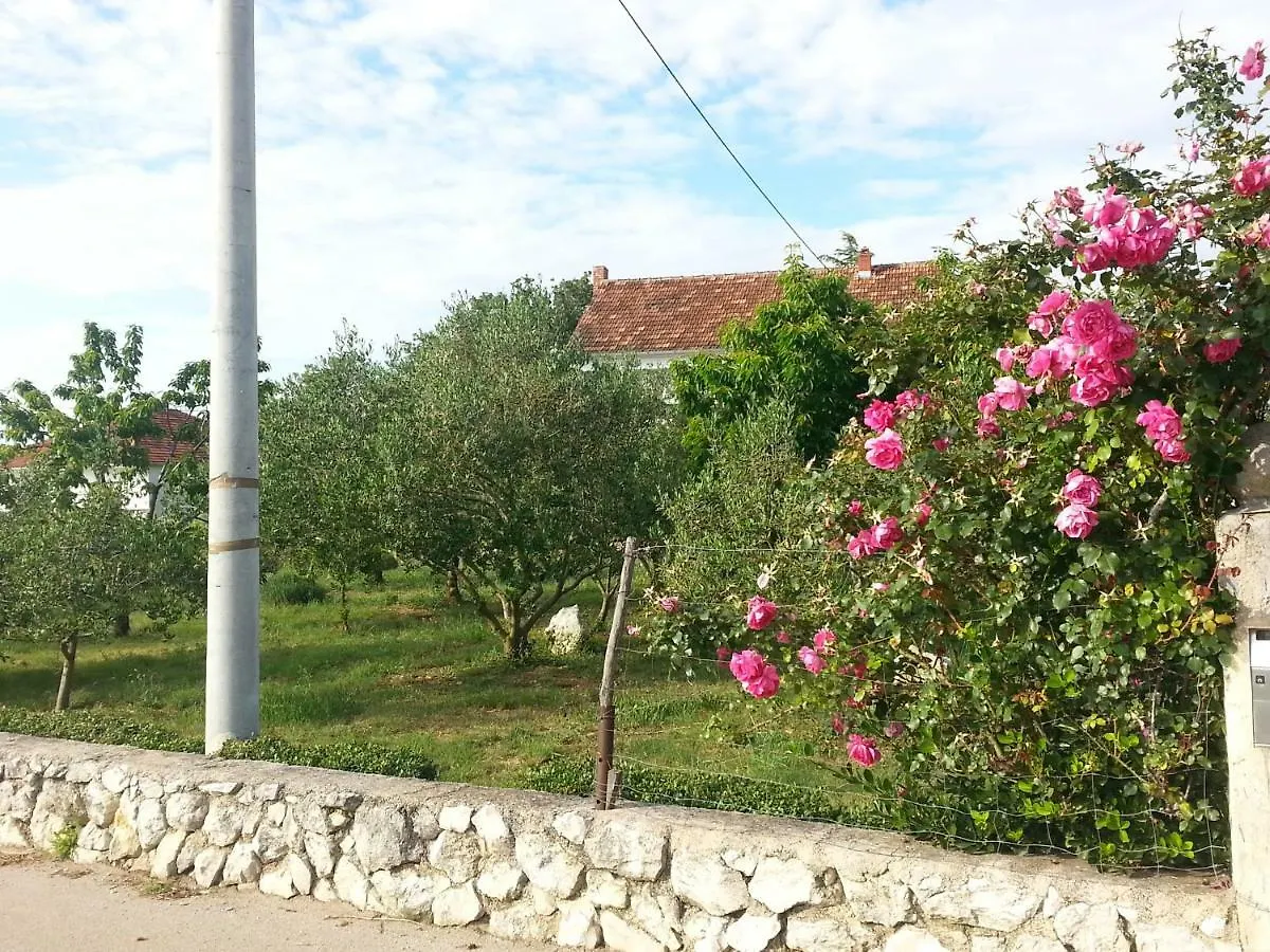 Apartment Brigitte Vrsi Croatia