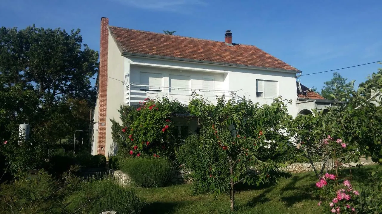 Apartment Brigitte Vrsi