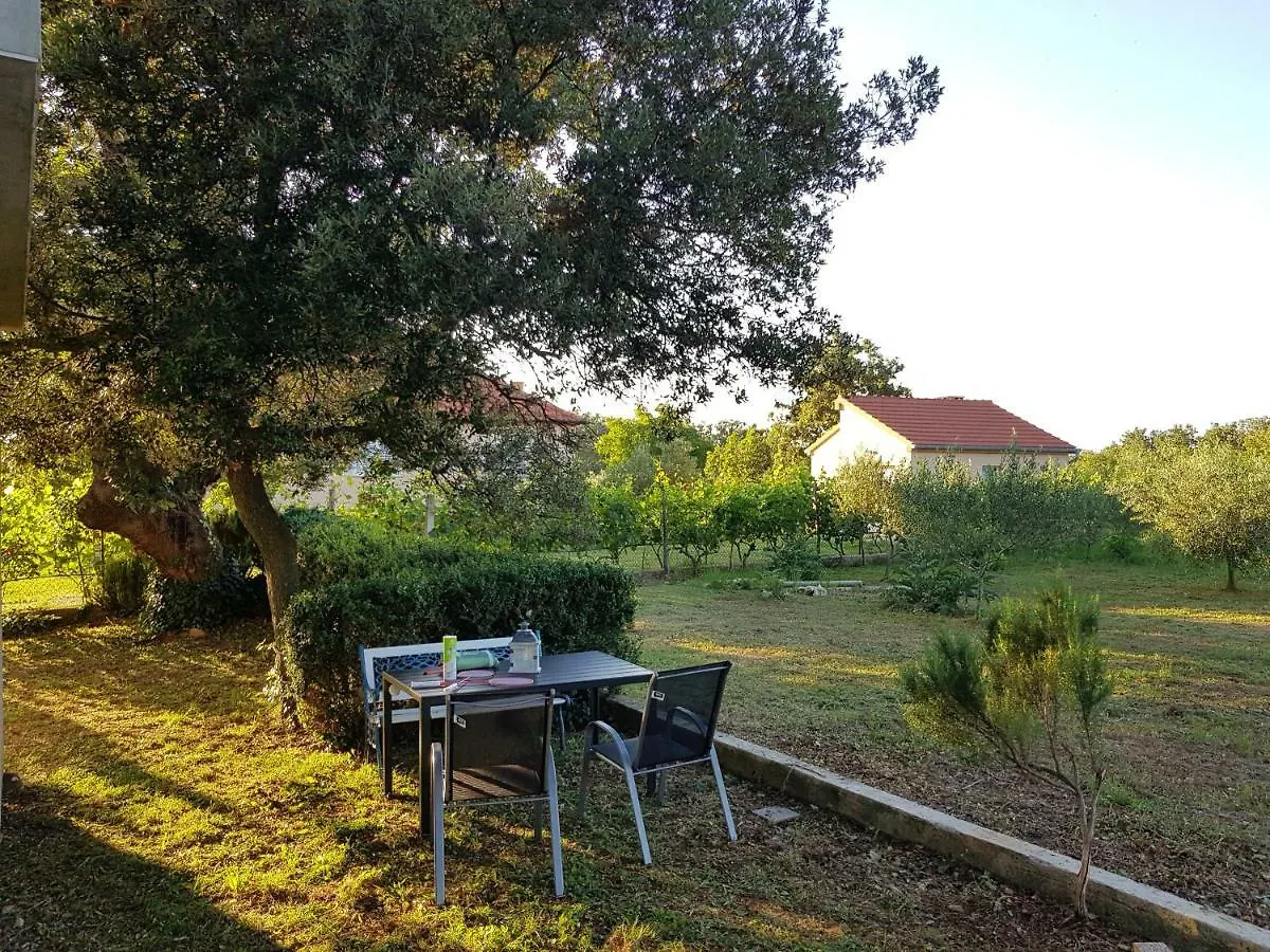 Apartment Brigitte Vrsi