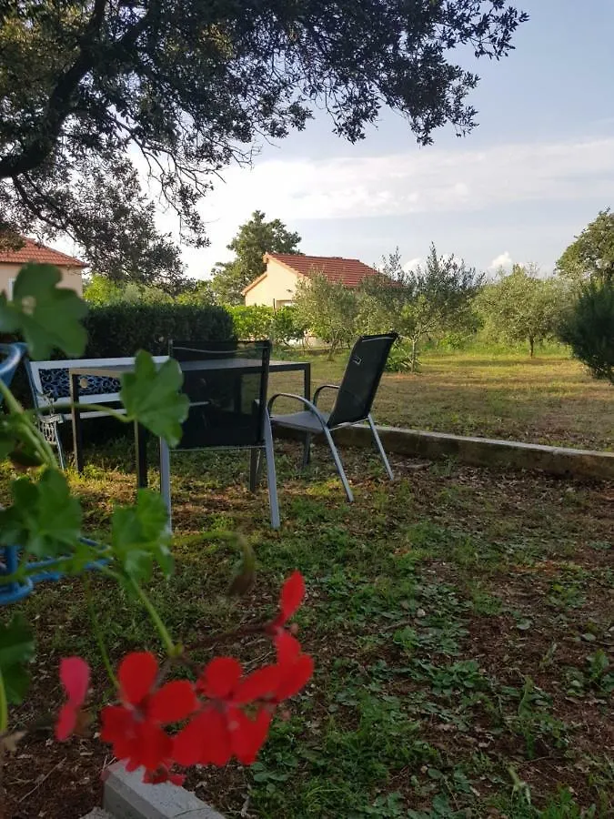 Apartment Brigitte Vrsi