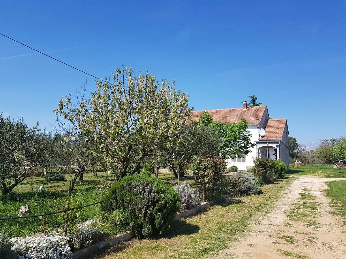 Apartment Brigitte Vrsi Croatia